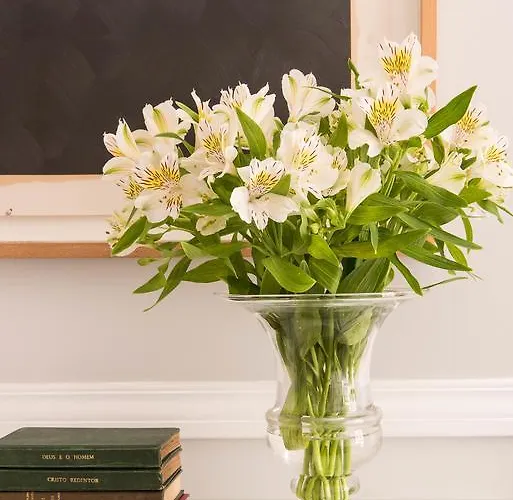 Bed & Breakfast Casa Do Barao 4*